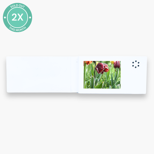 MINI Tarjeta de Video