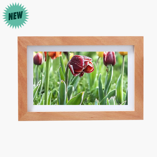 Marco de Video de Madera